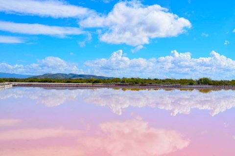 Cabo Rojo Salt Flats